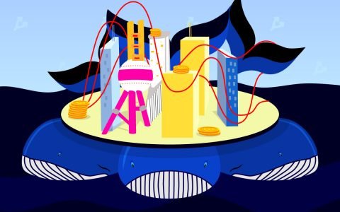 机构已将山寨币在投资产品中的份额提高到 35%