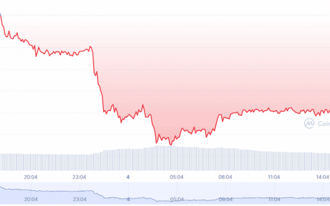 山寨币 在 BTC、ETH 创下新高后创下 50% 的涨幅：分析