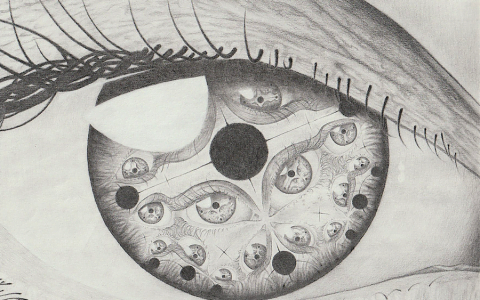 被监禁的丝绸之路创始人因 NFT 下跌引起轰动