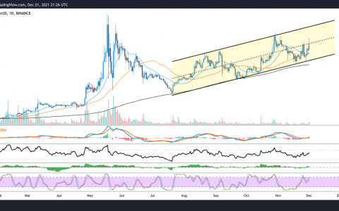 Polygon 不断扩大的生态系统支持 MATIC 升至历史新高