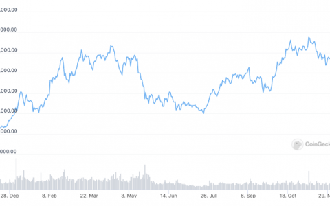 Bitwise 首席信息官对比特币在 2021 年达到 10 万美元“不太确定”