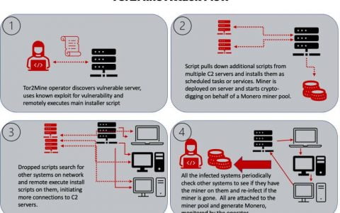 Monero 海盗矿工 (XMR) – Tor2Mine 在公司中猖獗