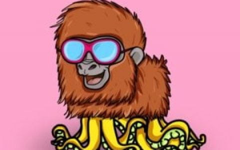 NFT：50 个 Octo Pets 预售