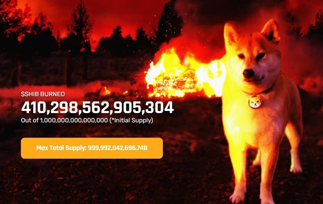 数以万亿计的 Shibas 永远消失了 – 大火中的 SHIB