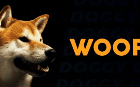 SHIB 推出 Beta DAO 版本，赋予用户更多权限