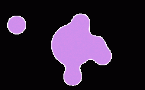 Polkadot 导致加密货币价格暴跌的红海