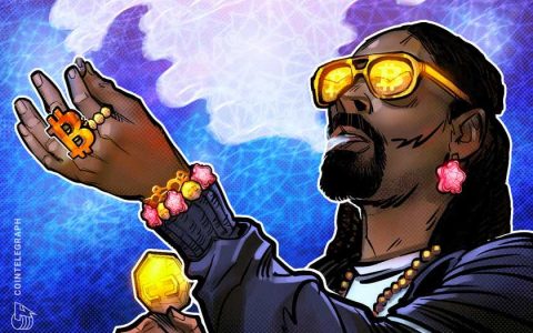 Snoop Dogg 可能是 Web3 和 NFT 的代言人，但这对行业意味着什么？