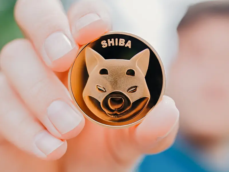 2023 年哪种加密货币会爆炸？-12