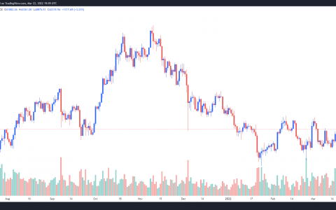 比特币多头瞄准 45,000 美元，而一些分析师警告可能修正