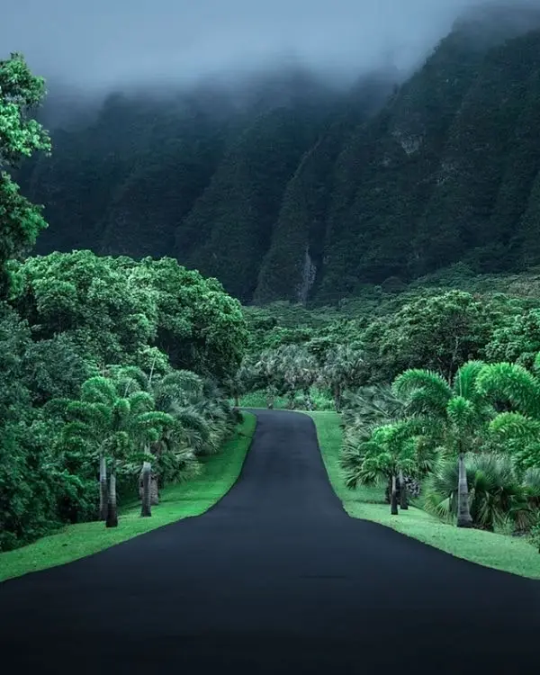 闲聊cc0、知识产权和NFT的二三事