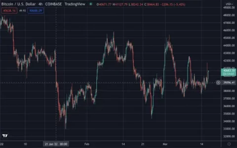 领导者行动，比特币上涨，股票上涨