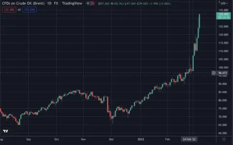 拜登禁止俄罗斯石油、天然气、能源进口