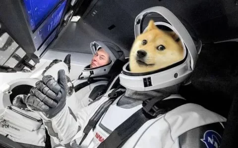 马斯克将 Doge 带到乌克兰