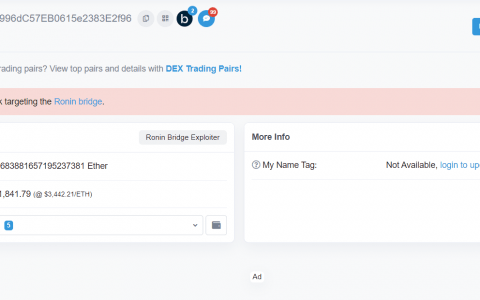 Axie Infinity被黑：国王已死，国王万岁