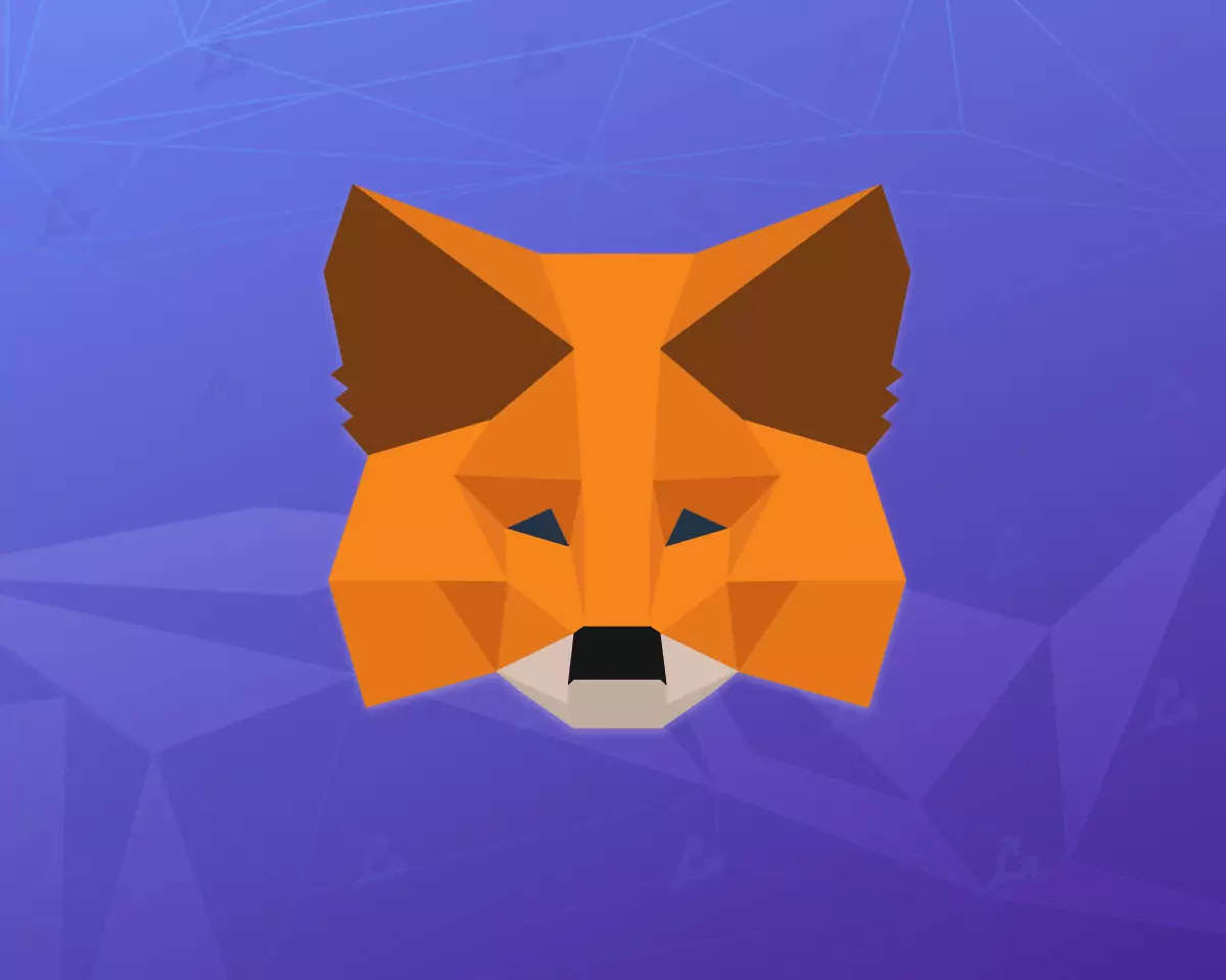 MetaMask 敦促在代币发行时不要指望慷慨的空投