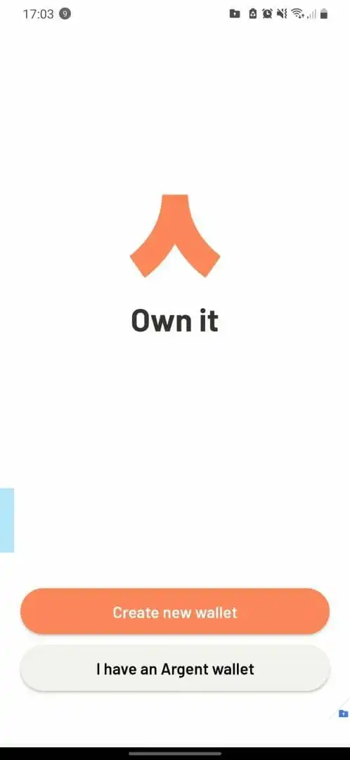 在安装 Argent 应用程序期间为你提供了两个选项 