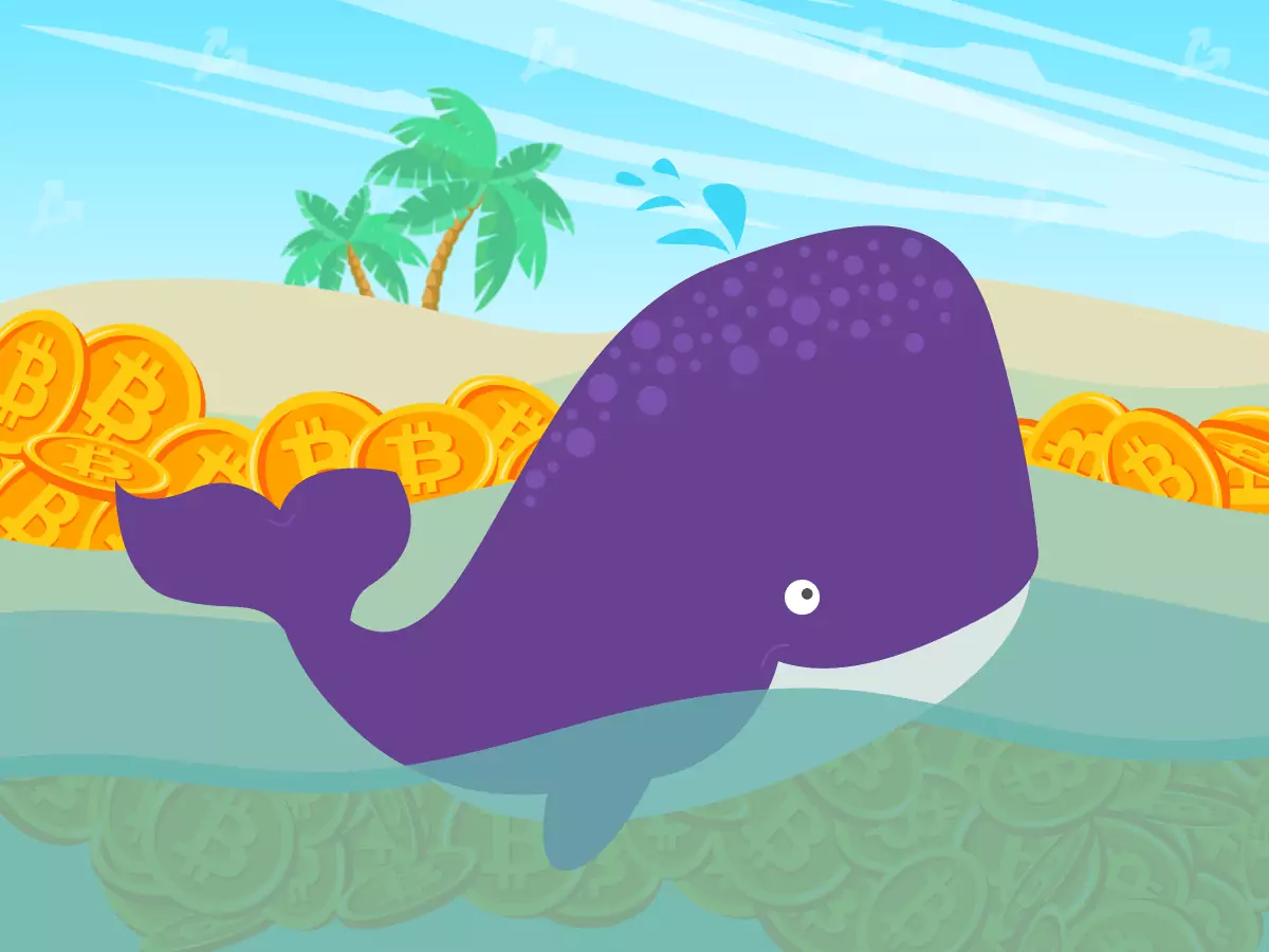 whale12.png.webp