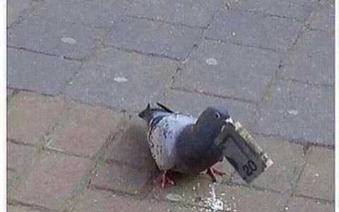 拜登和普京的比特币价格跃升至 42,000 美元以上