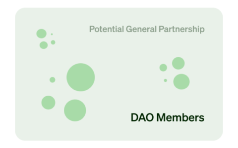 建议收藏 | Paradigm 全面解构 DAO 实体相关法律问题